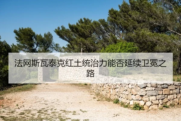 fa-wang-si-wa-tai-ke-hong-tu-tong-zhi-li-neng-fou-yan-xu-wei-mian-zhi-lu-2-238.jpg