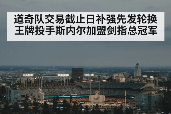 道奇队交易截止日补强先发轮换王牌投手斯内尔加盟剑指总冠军